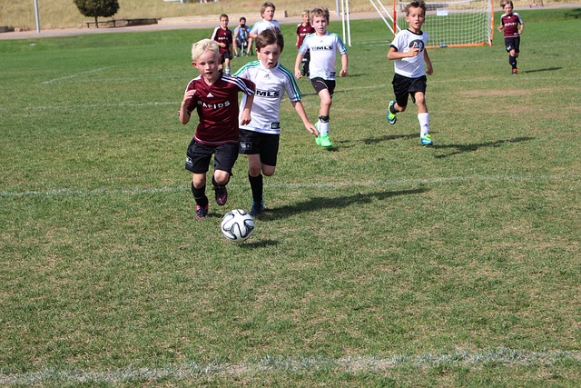 秀赛季的得 秀赛季的得