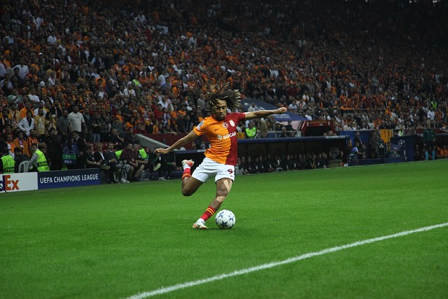 它将在未来 它将在未来