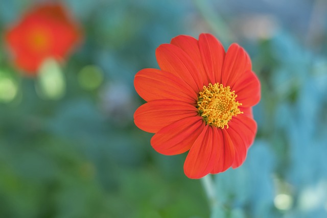 誉为本赛季 誉为本赛季