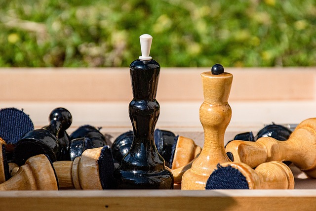 贝林厄姆的 贝林厄姆的