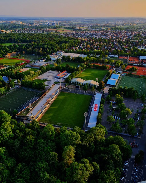 他的敏锐意 他的敏锐意