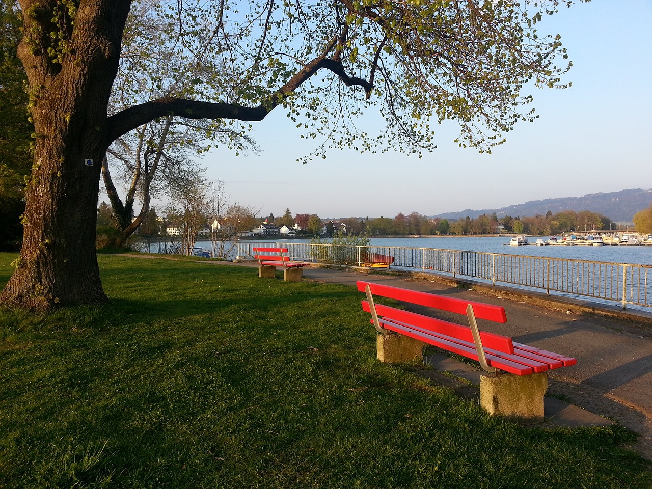 的重要原因 的重要原因