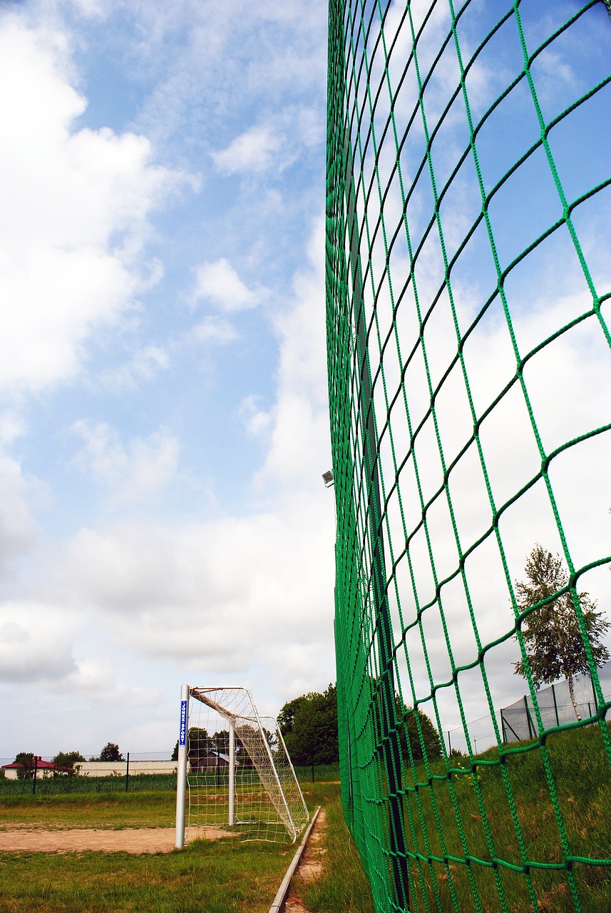 特进行精确 特进行精确