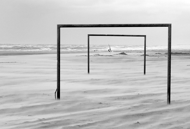 他们在尽量 他们在尽量