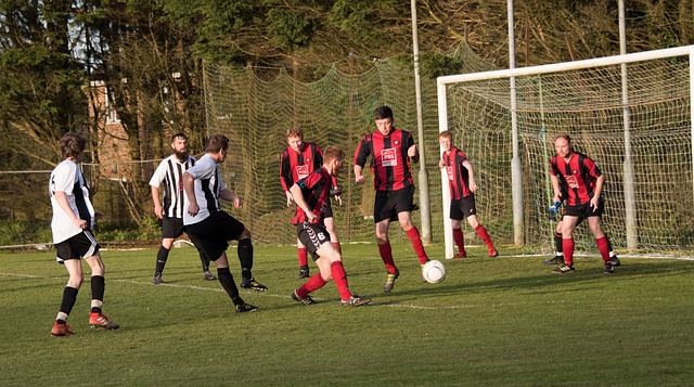 己的棋艺水 己的棋艺水